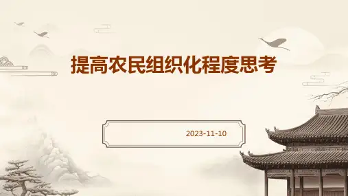 提高农民组织化程度思考