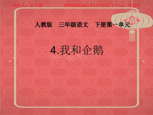 三年级语文下册 我和企鹅2 (1)课件