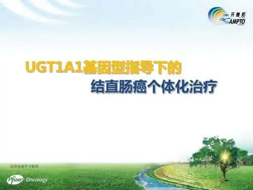 开普拓UGT1A1 PIM结直肠癌个体化治疗-PPT课件