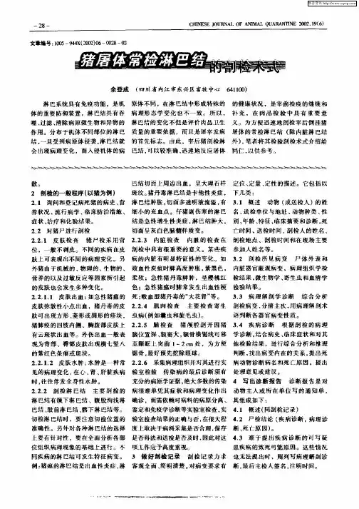 猪屠体常检淋巴结的剖检术式