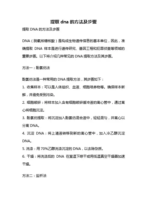 提取dna的方法及步骤