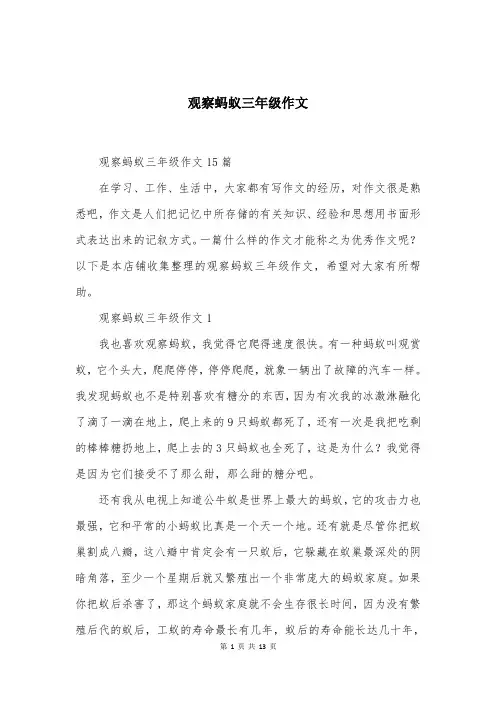 观察蚂蚁三年级作文