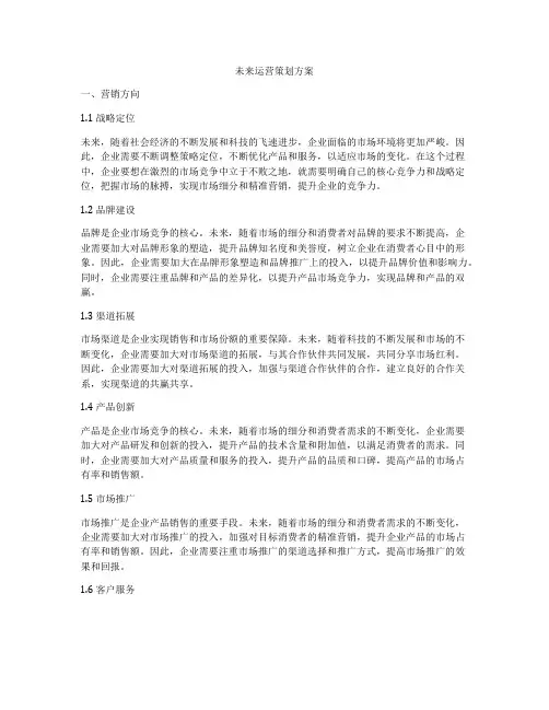 未来运营策划方案