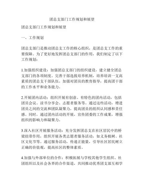 团总支部门工作规划和展望