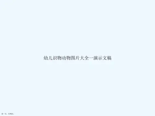 幼儿识物动物图片大全一演示文稿