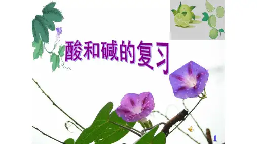 人教版九年级化学下册第10单元 酸和碱复习课件共19张PPT