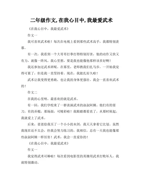 二年级作文,在我心目中,我最爱武术