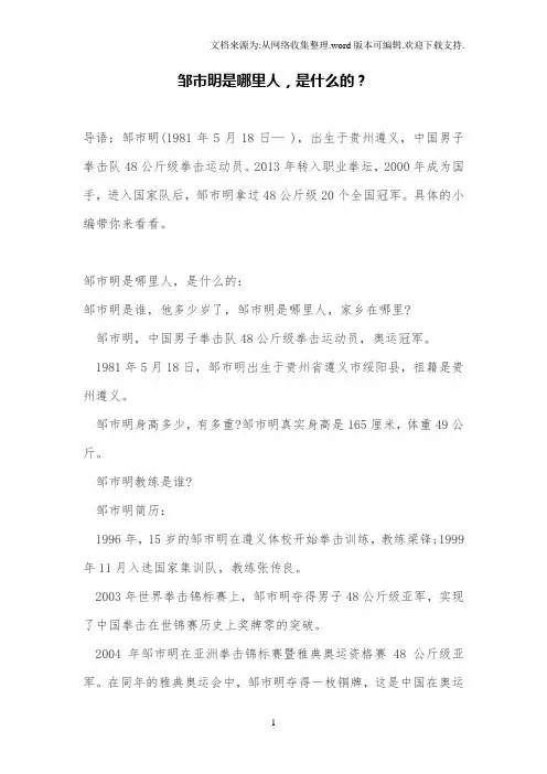 邹市明是哪里人,是什么的？