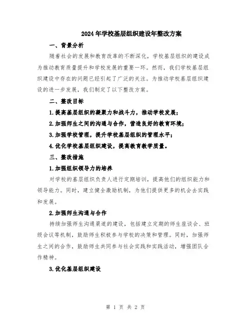 2024年学校基层组织建设年整改方案