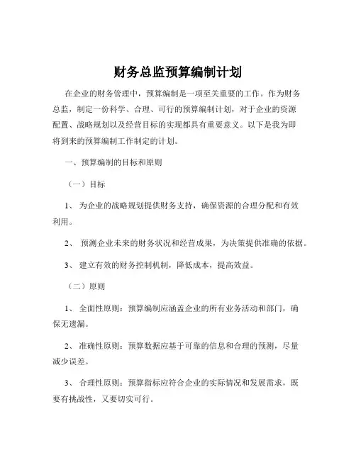 财务总监预算编制计划