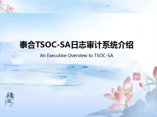 泰合TSOC-SA日志审计系统介绍