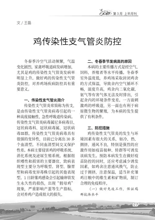 鸡传染性支气管炎防控