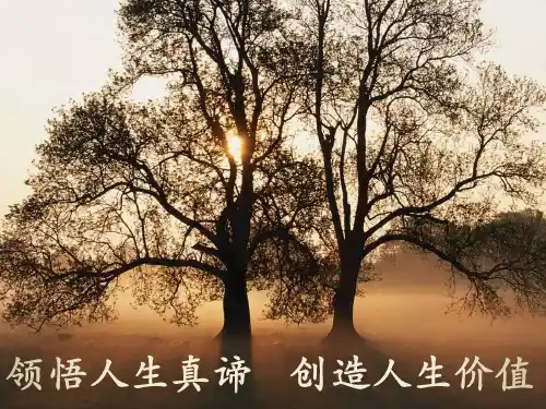(完整版)思修ppt课件