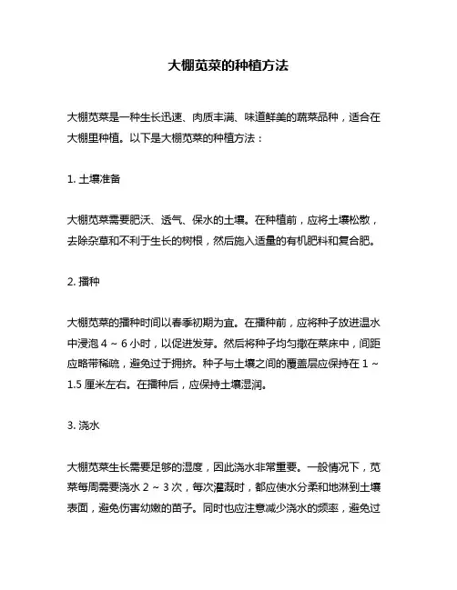大棚苋菜的种植方法