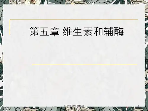 农业大学生物化学 (3)