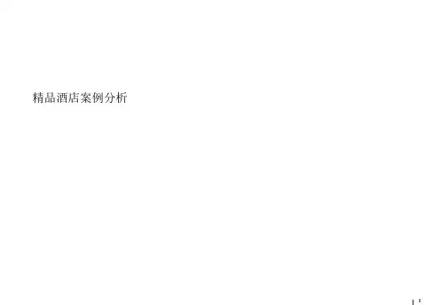 世界精品酒店案例介绍