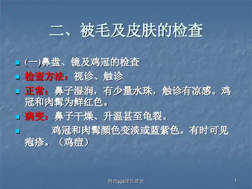 一般检查被毛及皮肤的检查PPT课件