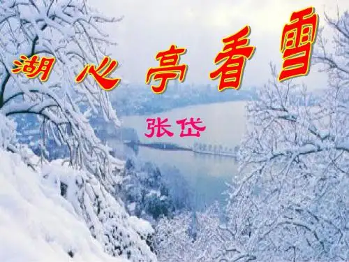 《湖心亭看雪》(复习版)