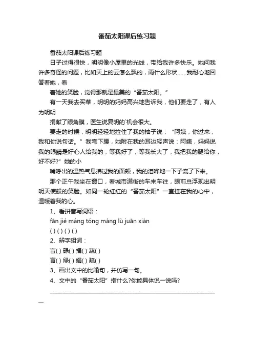 番茄太阳课后练习题