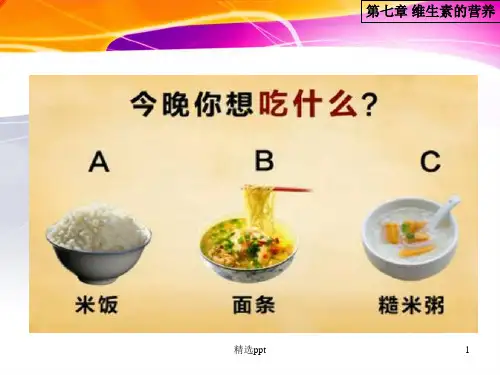 《维生素的营养》PPT课件