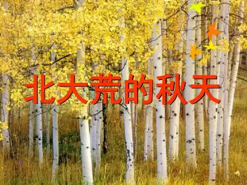 三年级上语文课件-北大荒的秋天_苏教版