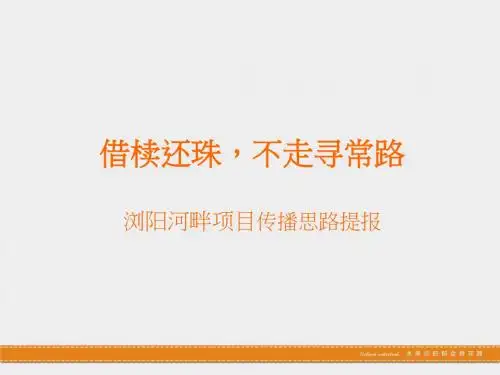 长沙浏阳河畔的项目传播思路提报107页