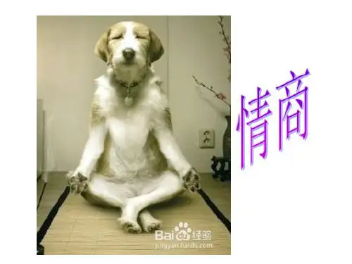 第七章 情商