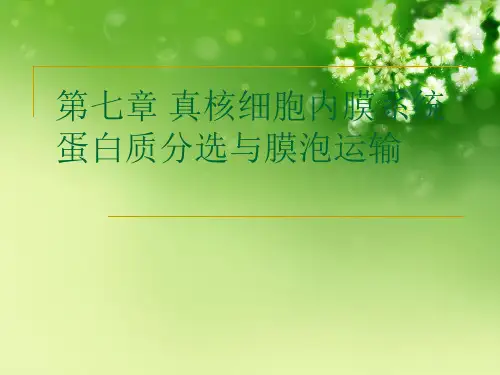 第七章 真核细胞内膜系统蛋白质分选与膜泡运输优秀课件