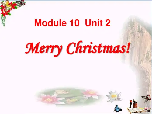 Merry Christmas!- 优秀PPT课件2