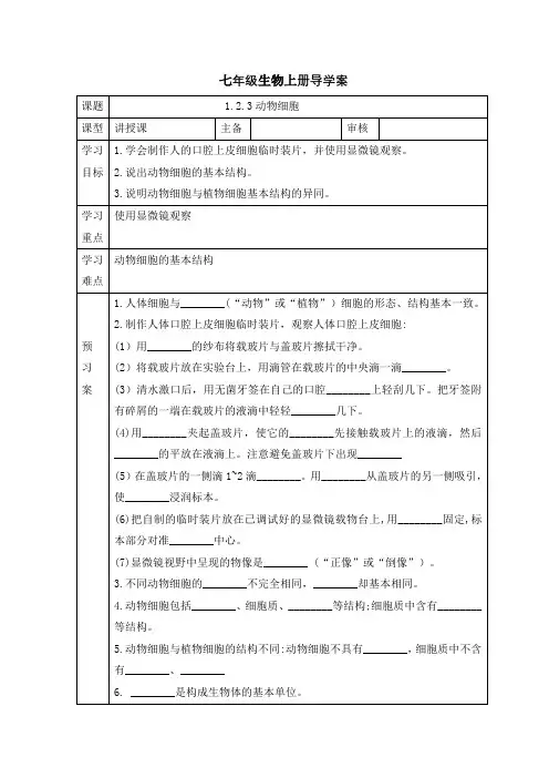 动物细胞导学案2024-2025学年人教版生物七年级上册