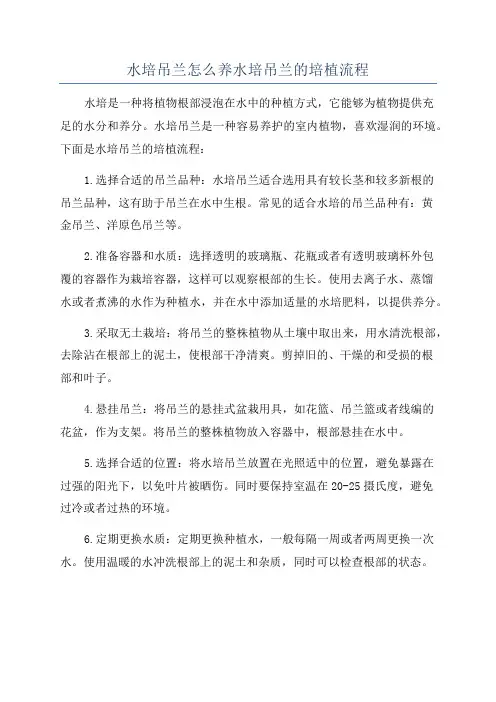 水培吊兰怎么养水培吊兰的培植流程