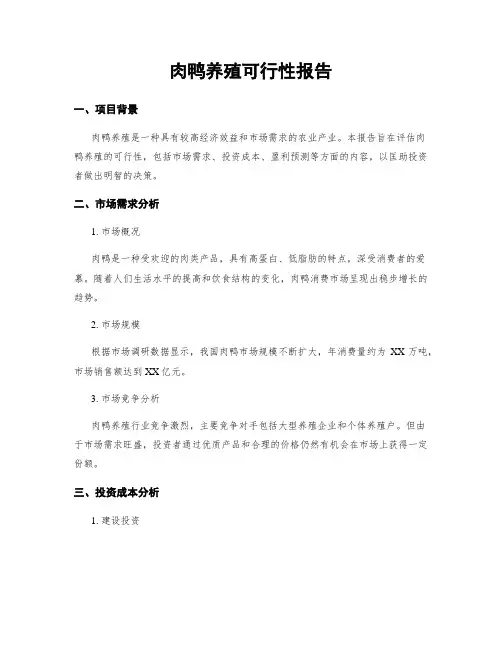 肉鸭养殖可行性报告