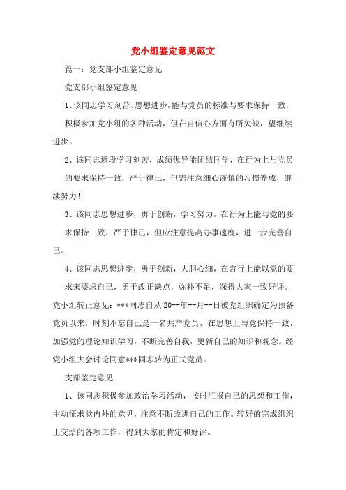 党小组鉴定意见范文