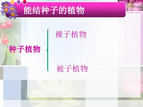 裸子植物和被子植物