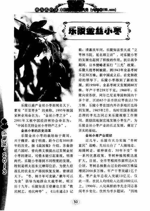 乐陵金丝小枣