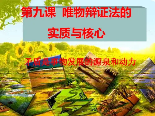唯物辩证法的实质与核心ppt课件