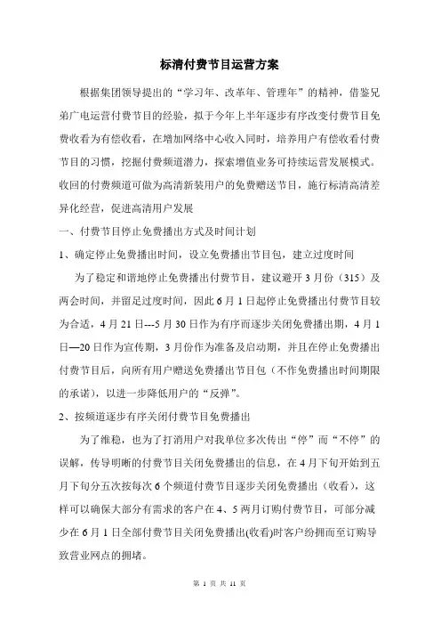 标清付费节目运营方案3.15