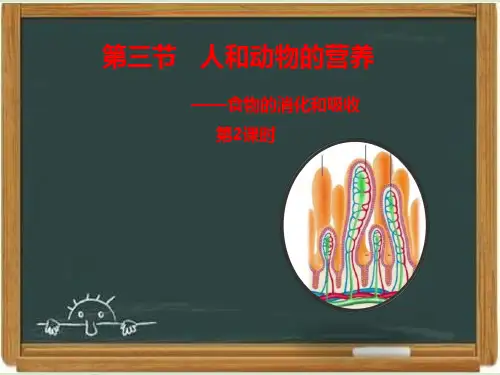 北京版七年级生物上册《人和动物的营养》第2课时教学课件1