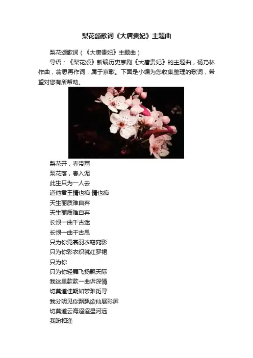 梨花颂歌词《大唐贵妃》主题曲