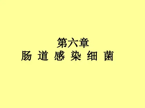 第六章 肠道感染细菌