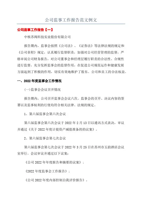 公司监事工作报告范文例文