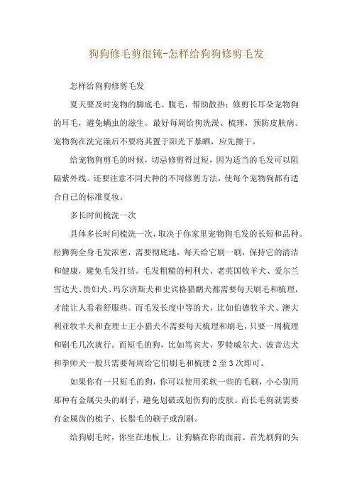 狗狗修毛剪很钝-怎样给狗狗修剪毛发