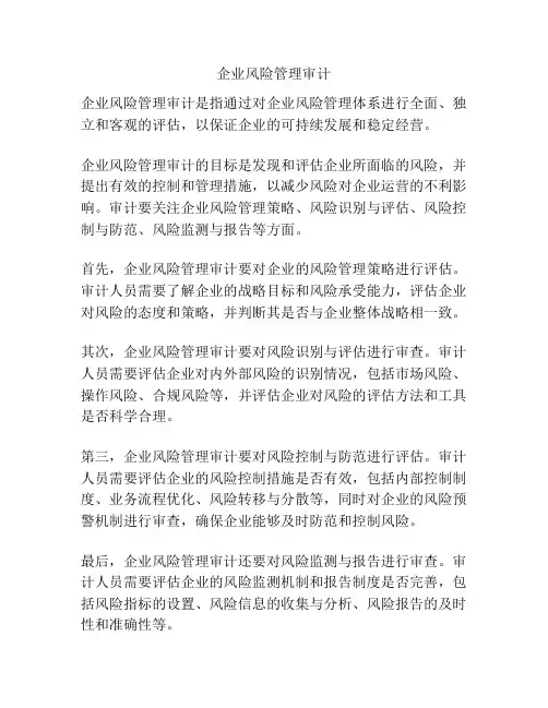 企业风险管理审计