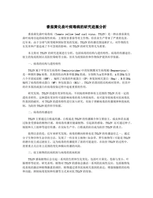 番茄黄化曲叶病毒病的研究进展分析
