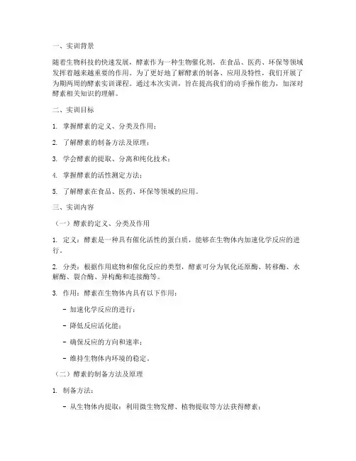酵素实训报告