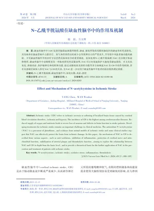 N-乙酰半胱氨酸在缺血性脑卒中的作用及机制