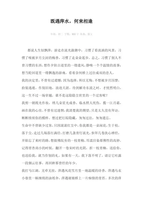 既遇萍水，何来相逢900字作文