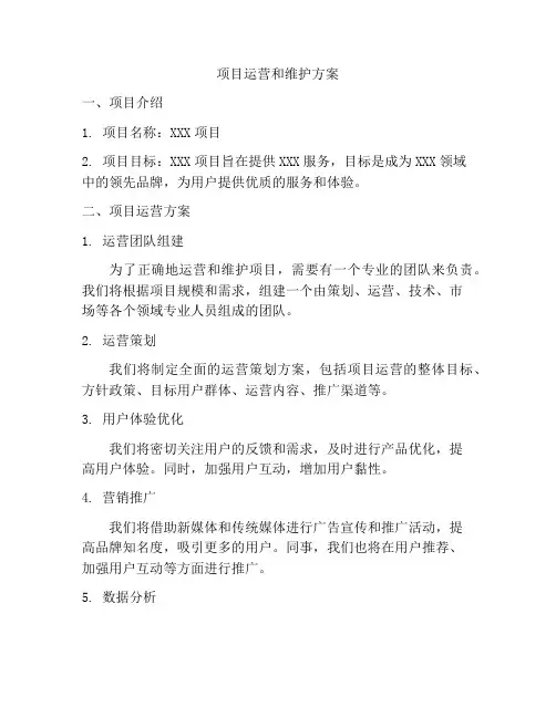 项目运营和维护方案