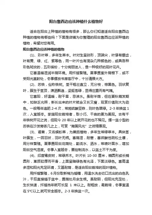 阳台靠西边应该种植什么植物好