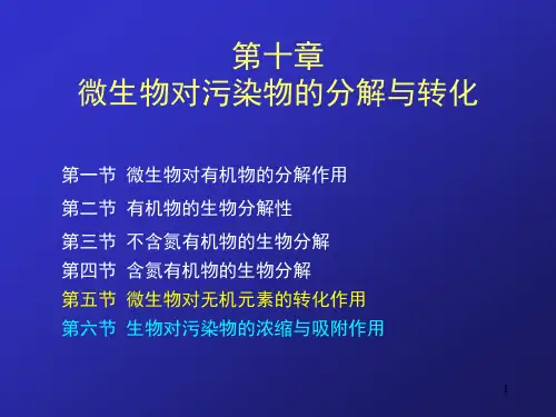第十章微生物对污染物分解与转化作用